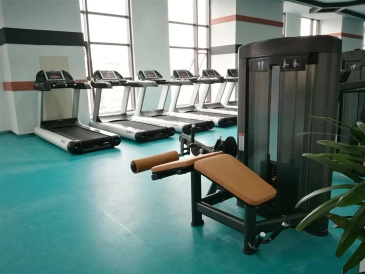 Leg Curl Machine: Tighten Posterior Thighs high quality